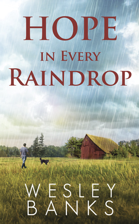 hope in every raindrop book cover