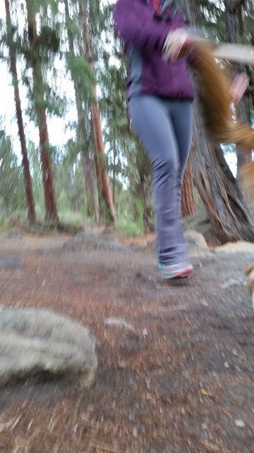 15.06.03-Deschutes-River-Trail