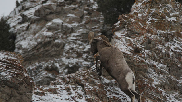 15.12.10-Grand-Teton